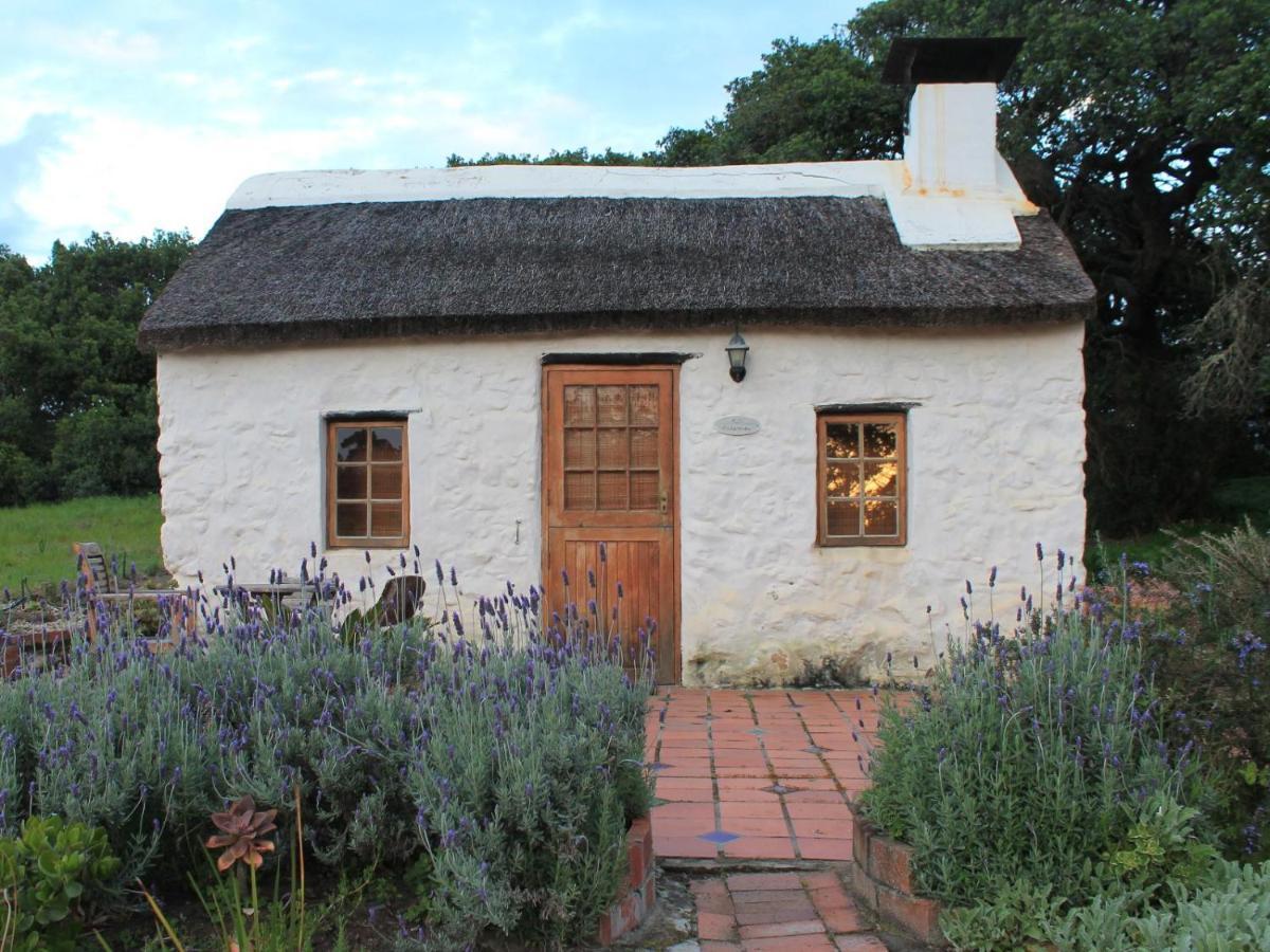 Springfontein River Lodge Stanford Exterior photo