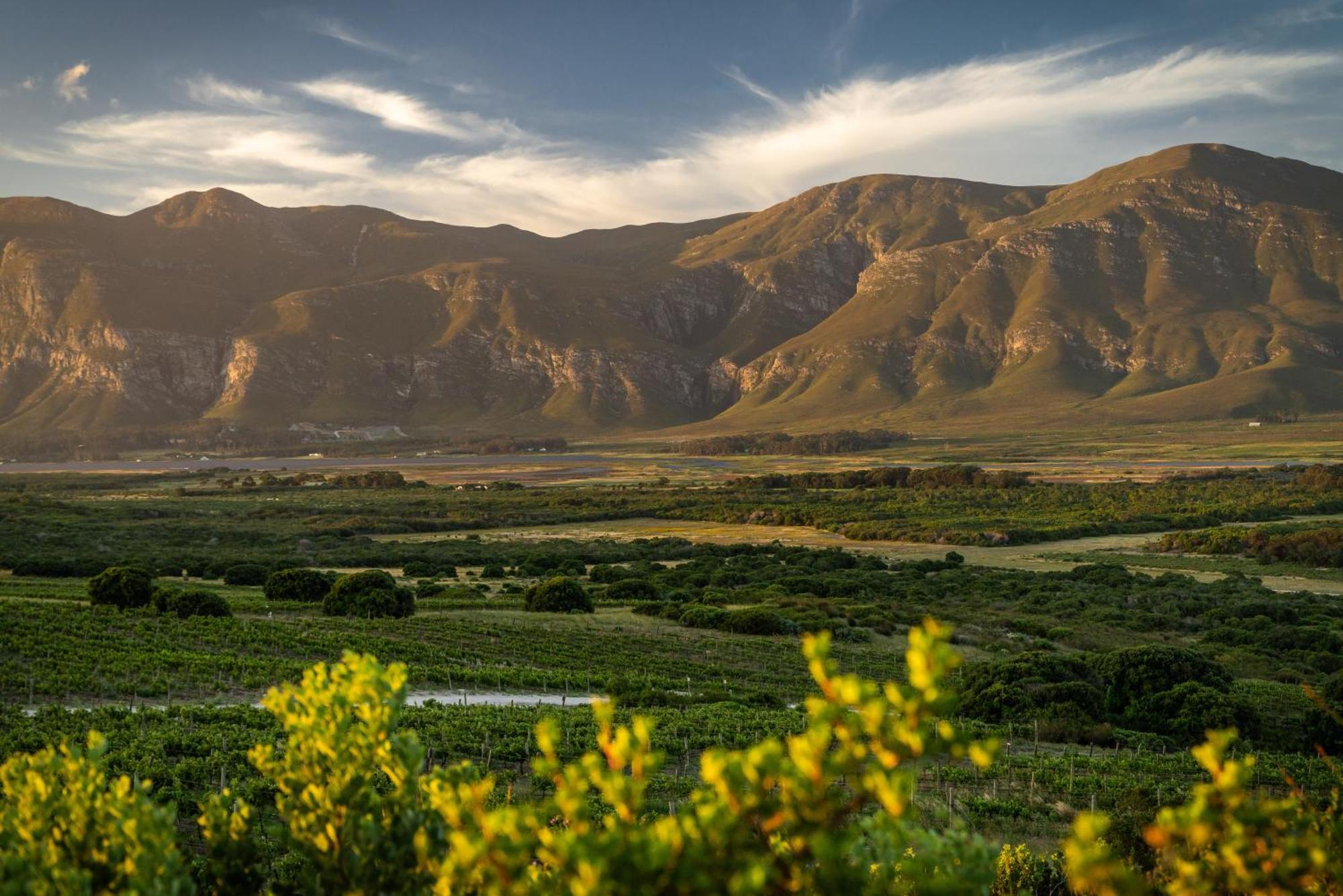 Springfontein River Lodge Stanford Exterior photo